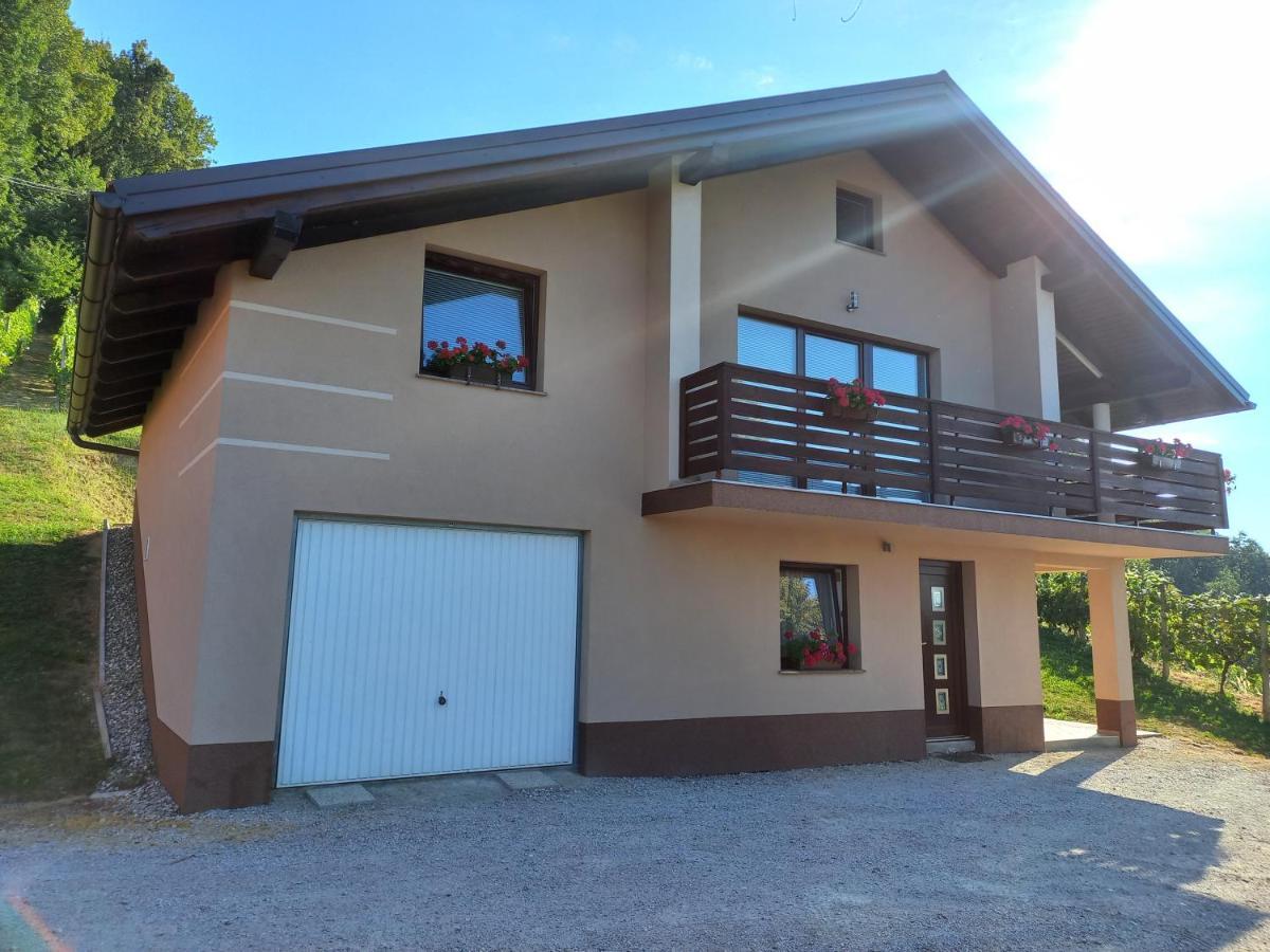 Nastanitev Nika Apartment Rogaska Slatina Luaran gambar