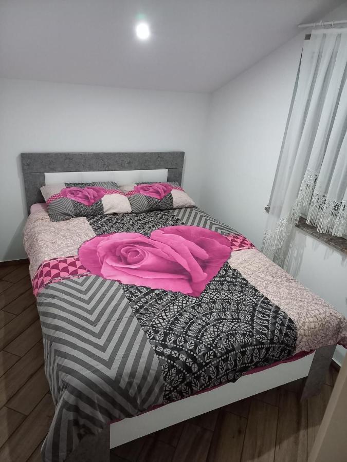 Nastanitev Nika Apartment Rogaska Slatina Luaran gambar